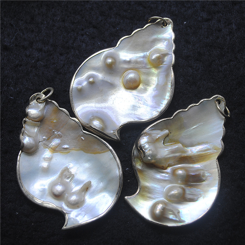 Women Fashion Nz - 3PCS Natur Shell Anhänger Perlmutt Lose